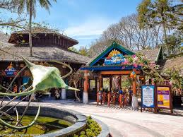 A person who is doing neither is unlikely to die from drinking too. Visiting Aquatopia Waterpark On Hon Thom Island Hungry Backpack Water Park Phu Quoc Planet Coaster