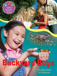 We did not find results for: Backyard Bugs The Best Start In Science By Jenny Vaughan