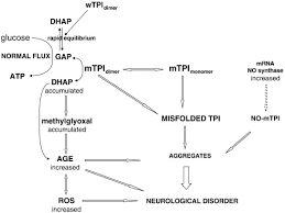 Triosephosphate Isomerase Deficiency New Insights Into An Enigmatic Disease Sciencedirect