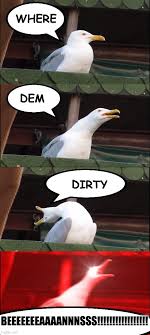 Check spelling or type a new query. Inhaling Seagull Memes Gifs Imgflip