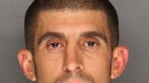 Sheriff: Horse DNA solves animal dumping cases