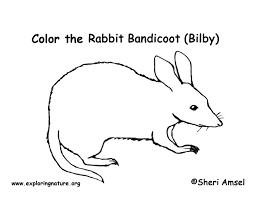Click to see our best video content. Bandicoot Coloring Page