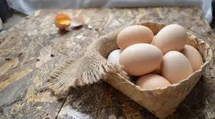 Diet telur adalah cara menurunkan berat badan yang mengharuskan penggunanya mengonsumsi telur minimal satu kali sehari. Diet Telur Rebus Untuk Turunkan 2 Kg Berat Badan Dalam Seminggu Beauty Fimela Com