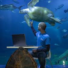 National Marine Aquarium - Aquarium - Plymouth - 4 Reviews - 3,657 Photos |  Facebook