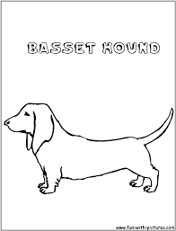 A basset hound coloring page to color, print or download. Bassethound Coloring Page