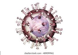 African swine fever virus introduction to naïve swine population leads to high mortality and losses among susceptible animals. African Swine Fever Virus 3d Illustration Stock Illustration 489099961