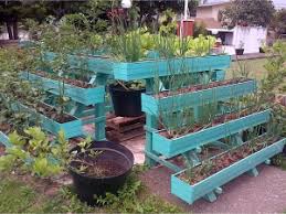 Memiliki kebun sendiri di rumah akan memberikan banyak keuntungan. Rumah Pangan Lestari Solusi Pekarangan Masa Kini Pak Tani Digital