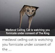 Fornication under consent of the king=fuck. Medieval Ceiling Cat Is Watching You Fornicate Under Consent Of The King Medieval Ceiling Cat Is Watching You Fornicate Under Consent Of The Medieval Meme On Me Me