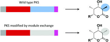 Kpss test is a statistical test to check for stationarity of a series around a deterministic trend. Manipulating Polyketide Stereochemistry By Exchange Of Polyketide Synthase Modules Chemical Communications Rsc Publishing
