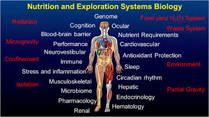 Red Risks For A Journey To The Red Planet The Highest Priority Human Health Risks For A Mission To Mars Npj Microgravity