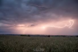 Sanglier plein champ lors d'un entrainement des chiens. Orages Aveyronnais 12 Photolive Toutes Les Photos Meteo En Temps Reel Infoclimat