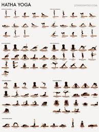 yoga for beginners the first step of yoga practice hatha