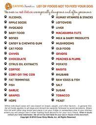 What Can Dogs Not Eat Lists Of Safe Toxic Foods For Your Dog Fruits Vegetables Nuts Human Food Fish Meat Bones Etc Dog Infographic Human Food Your Dog