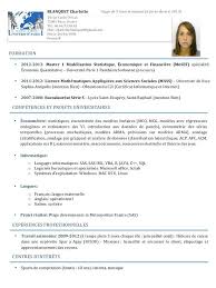 Example manager francais curriculum vitae. 15 Curriculum Vitae Receipts Template