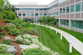 Station road, brampton, ca8 1ez. Landscaping Lawn Care Services Company Brampton