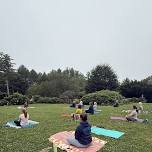 Mindful Flow Yoga