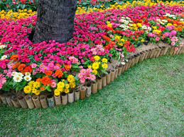 See more ideas about flowers, annual flowers, flower garden. Achieving Hot Weather Color Growing Colorful Flowers In Hot Climates