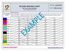 Puppies In Bloom Record Keeping Charts For Breeders Buy