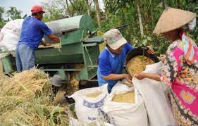 Saat ini, arsip raksasa gif animasi kami menyimpan 149897 gambar dalam 2105 kategori. Terbaru 20 Contoh Kegiatan Produksi Distribusi Dan Konsumsi