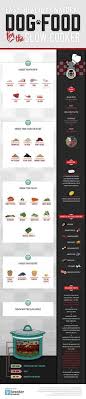 Best types of food for dogs with diabetes mellitus. 25 Diabetic Dog Recipes Ideas Dog Recipes Dog Food Recipes Healthy Dog Food Recipes