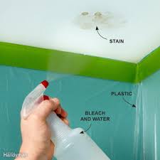 Before You Go Through The Trouble Of Repainting A Ceiling To Get Rid Of A Water Stain Tr Reparaciones En El Hogar Mantenimiento Del Hogar Consejos De Limpieza