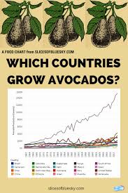 Which Country Grows The Most Avocados Slices Of Blue Sky Avocado Grow Avocado Food Charts