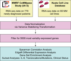 Maybe you would like to learn more about one of these? Evaluating The Efficacy Of Multiple Myeloma Cell Lines As Models For Patient Tumors Via Transcriptomic Correlation Analysis Leukemia