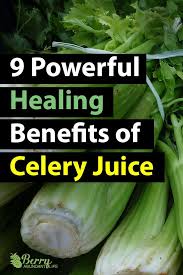 9 Unbelievable Benefits Of Celery Juice And How It Should Replace Your Morning Coffee Celery Juice Benefits Celery Benefits Celery Juice