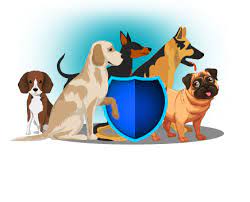You can also purchase optional preventive care coverage for an additional minimal cost. Pet Insurance Dog Health Insurance Bajaj Allianz