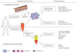 Liquid Biopsy Of Gastric Cancer Patients Circulating Tumor