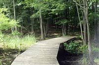 Washington township municipal is located in bangor, pennsylvania in northampton county. Escape Room Washington 2021 All You Need To Know Before You Go With Photos Tripadvisor