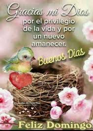 Imagenes Frases Y Mensajes De Feliz Domingo En 2020 Saludos De Buenos Dias Mensaje De Feliz Domingo Buenos Dias Bendiciones