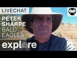 Peter Sharpe's Instagram, Twitter & Facebook