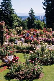 Natural Home Goes To Portland Rose Garden Portland Portland Travel Portland Parks