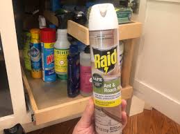 All natural roach killer, spider, mosquito and ant spray to keep your home safe. Raid Ant And Roach With Essential Oils Is Safe Around Children Pets When Used As Directed