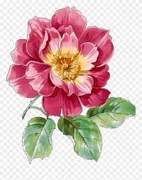 The images would also be great for decoupage and decorative crafts. Clipart Royalty Free Library Pion Png Pinterest Decoupage Flowers Art Water Color Png Transparent Png 995304 Pinclipart