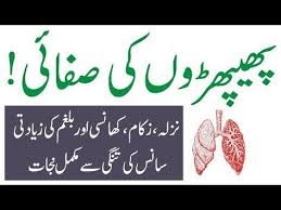 Lungs Ki Safai Aur Nazla Zukam Khansi Ka Gharelu Ilaj Balgham Ka Desi Ilaj In Urdu Youtube Health Knowledge Vitamins For Skin Health And Wellness Center