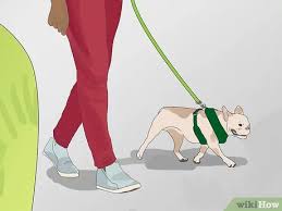 Some dogs are prone to scratching doors, windows, floors, cushions and dog beds. 3 Ways To Protect Doors From Dog Scratches Wikihow