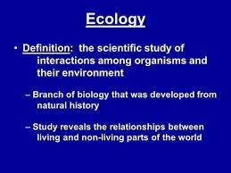 Ecology Definition The Scientific Study Of Interactions Among Organisms And Branches Of Biology Physical Environment Ecology