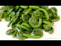 Found in damp area's on upstate new york. Fiddlehead Ferns 101 Everything You Need To Know Youtube