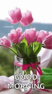 good morning photo के लिए इमेज परिणाम