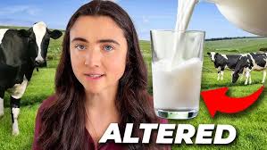 A Message From Us to Our Partners, With an Introduction by Jonathan Halstead 