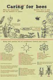 Maybe you would like to learn more about one of these? Pin By Micaela Casartelli On Honey Bees Bee Keeping Bee Garden Bee Friendly