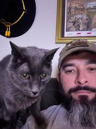 How to find a lost senior cat in El Paso?