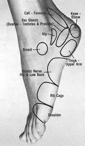 Modern Institute Of Reflexology Health Reflexology