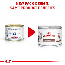 Produsul a fost adaugat in cosul de cumparaturi. Purchase Royal Canin Cat Recovery Food Up To 70 Off