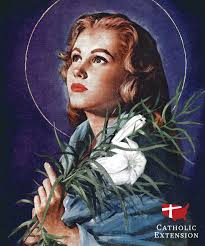 Truyền Thông Thái Hà