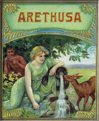 Arethusa Cigars