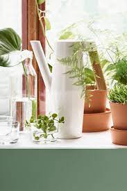 bittergurka gieter ikea ikeanl planten water keuken wit canning watering planting flowers