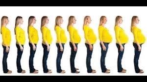 متى تبدأ بطن الحامل بالظهور youtube